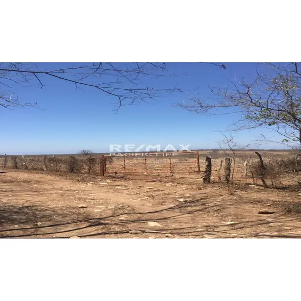 Terreno agrícola en venta en Agua Caliente de Gárate