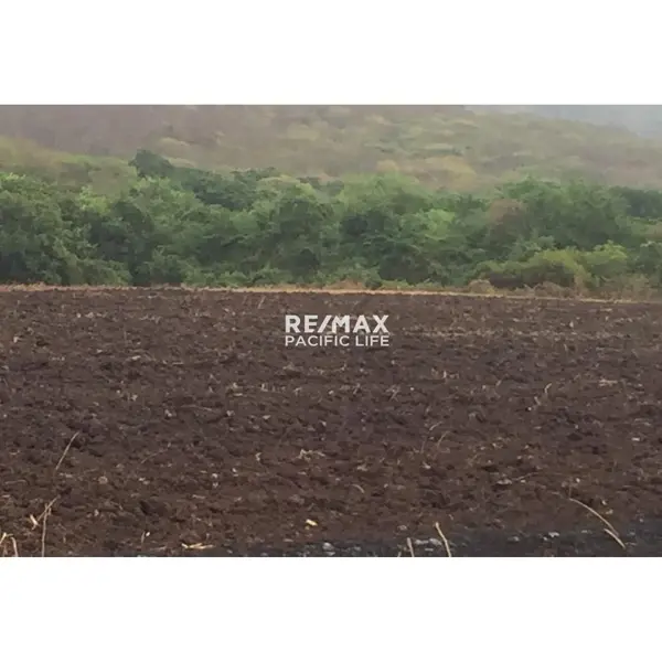 Parcela agrícola en venta en Agua Caliente de Gárate