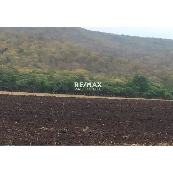 Parcela agrícola en venta en Agua Caliente de Gárate