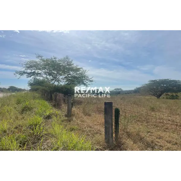 Parcela de 70,000 m² en venta, carretera Mazatlán-Tepic
