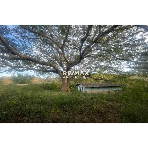 Farm for Sale in Agua Caliente de Gárate, Sinaloa