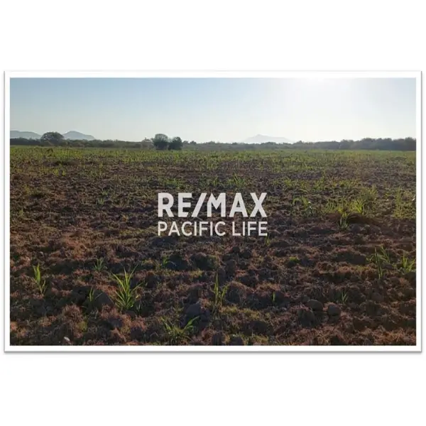 Agricultural Land for Sale Between Villa Unión and El Walamo
