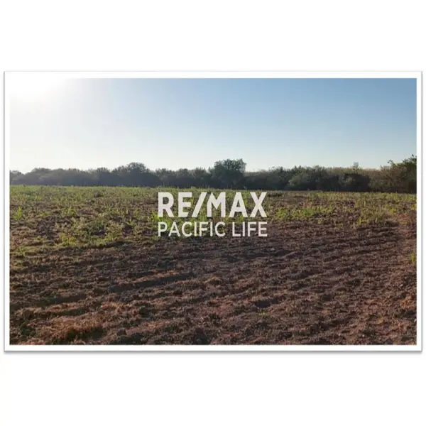 Agricultural Land for Sale Between Villa Unión and El Walamo