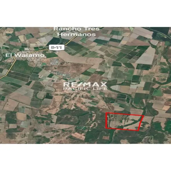 Agricultural Land for Sale Between Villa Unión and El Walamo